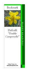 This bookmark depicts a Double Campernelle Daffodil.