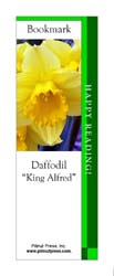 This bookmark depicts a King Alfred Daffodil.