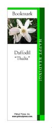 This bookmark depicts a Thalia Daffodil.