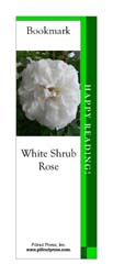 This bookmark depicts a White Shrub Rose.