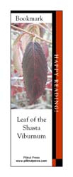 Shasta Viburnum Bookmark This bookmark depicts Shasta Viburnum leaf in fall.
