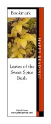 This bookmark depicts leaves of the Sweet Spice Bush in fall.