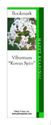 This bookmark depicts a Korean Spice Viburnum.