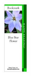 This bookmark depicts a Blue Star Flower.