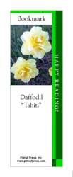 This bookmark depicts a Tahiti Daffodil.